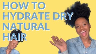 Famous The Cure For Dry Natural Hair | How To PROPERLY Hydrate DRY natural hair | Moisture Training Net Worth