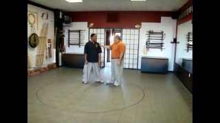 Xingyi Quan Eagle Form Review