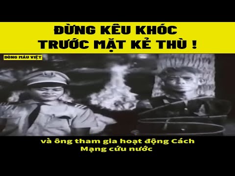 Video: Cây bạch dương bạc khóc - Tìm hiểu về điều kiện phát triển của cây bạch dương bạc khóc