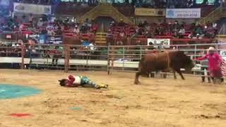 Privadon!! Chilitos de Arreguin vs Costeño de Martinez Ranch en la Plaza Garibaldi de Houston Texas