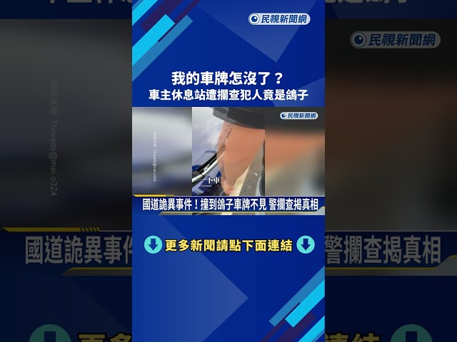 我的車牌怎麼不見了? 休息站遭警攔查"犯人竟是鴿子"－民視新聞