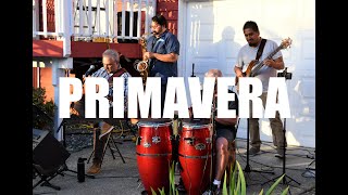 The Malo Combo - “Primavera” by Santana (cover) Resimi