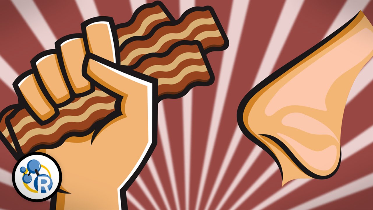 Why Does Bacon Smell So Good?