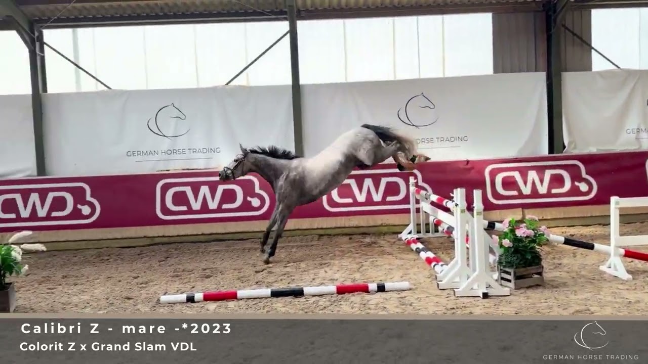 GHT 29-09-26 Calibri Z mare 2023 by Colorit Z - YouTube