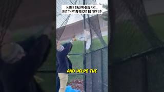 Hawk Trapped and Helpless — But Then This Happened!🥺| #shorts