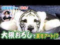大根おろしアートにトライ~加藤由香アナの傑作メイキング動画