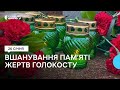 Молитва, хвилина мовчання, покладання квітів. У Миколаєві вшанували пам&#39;ять жертв Голокосту