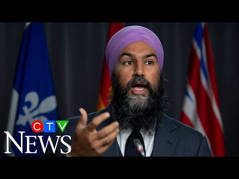 Jagmeet Singh wants tax on businesses profiting off COVID-19