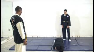 Falling Foward Pushing From Behind - Hapkido