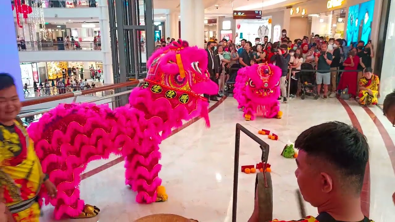 Lion & Dragon Dance