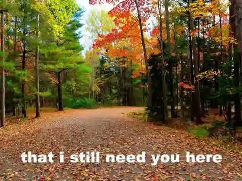 Leon Haines Band ➖ For you to remember