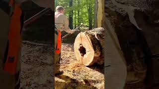 log splitter hydraulic #logsplitter