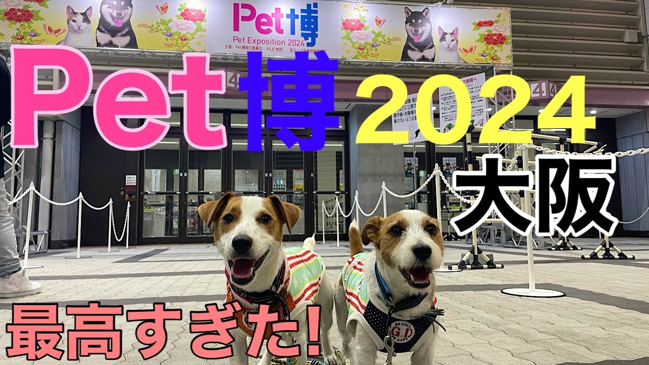 Pet博2024大阪 超速報‼️