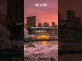 Spring Night Jazz for Quiet Evenings
