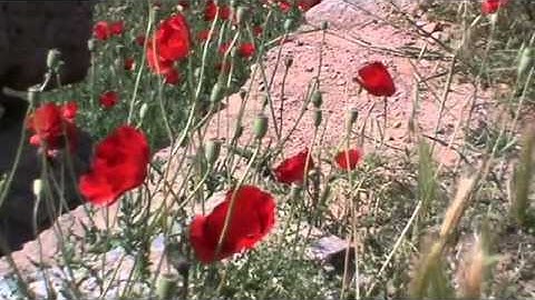 2014May The Sanctuary of Apollo, Delphi