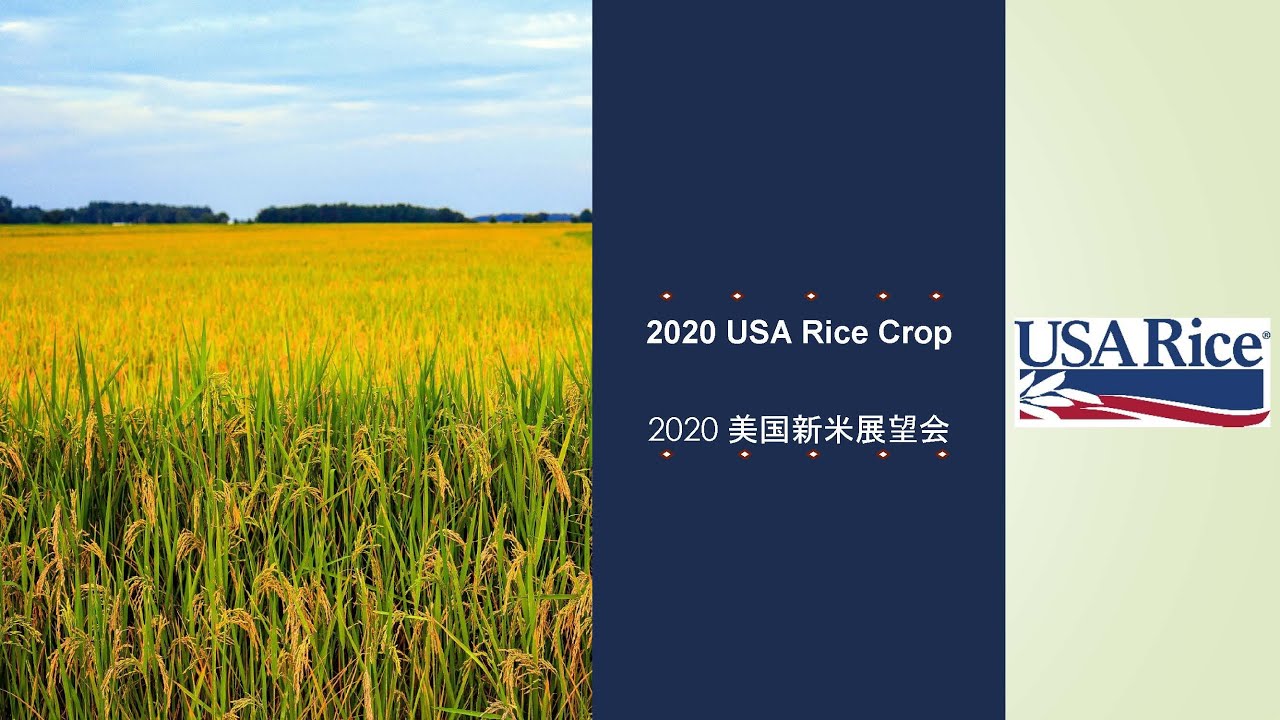 Webinar: 2020 U.S. Rice Crop Outlook for Importers in China