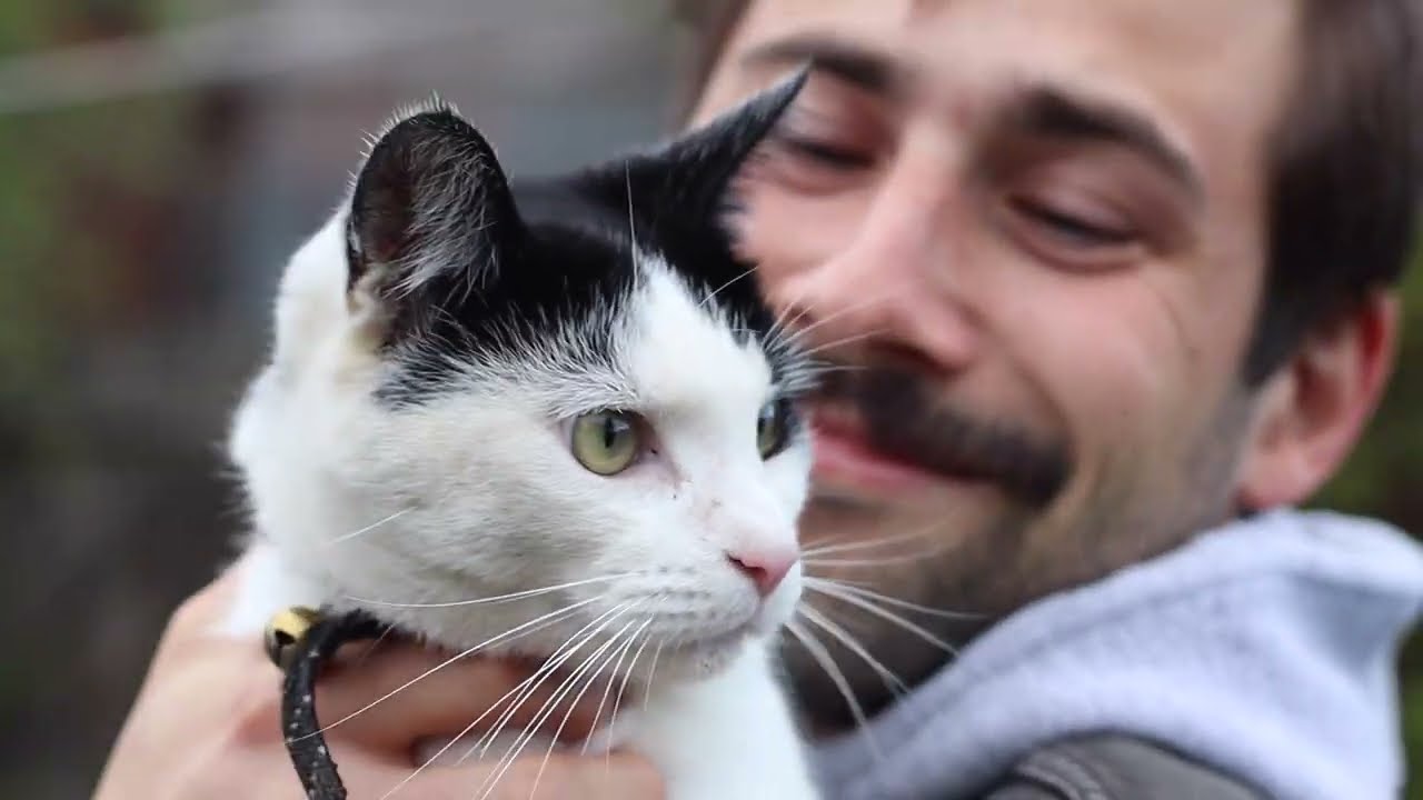 OTHER HALF | LIKE A DOG/SLAB THICK