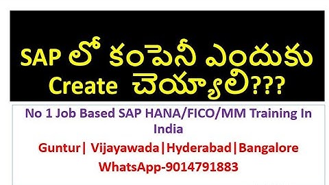 SAP FICO Videos in Telugu |SAP లో కంపెనీ ఎందుకు Create  చెయ్యాలి?| Creation of Company Code in SAP