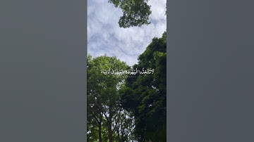 تلاوة هادئة - جمال الهيثمي #quran