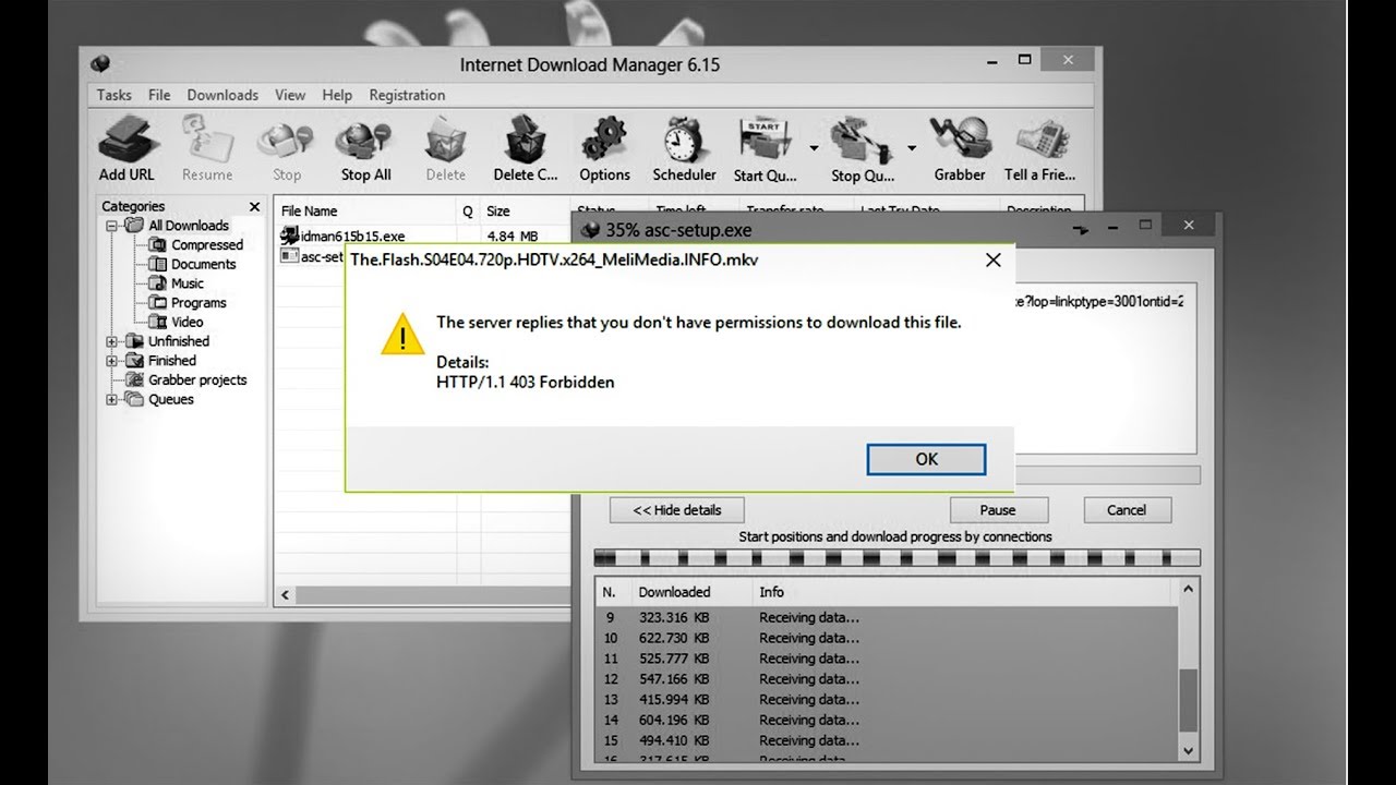 Error http 1 1 403 forbidden internet download manager