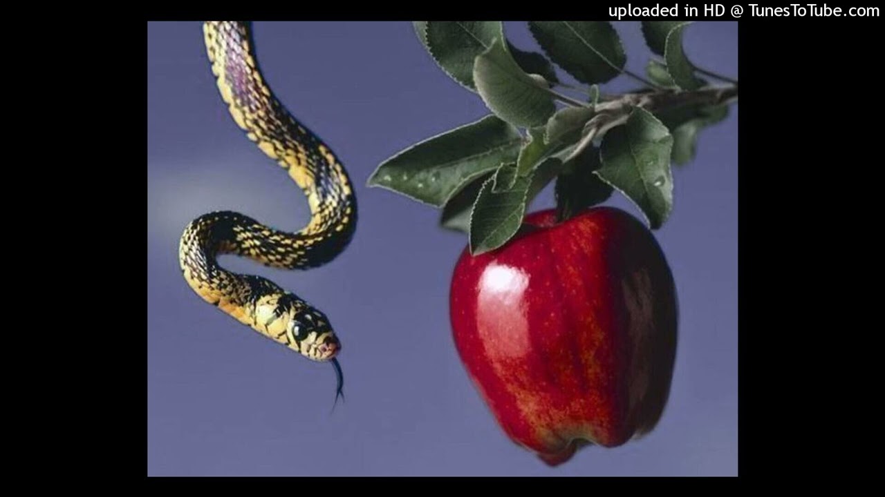 FREE - xxxtentacion x ski mask the slump god x willie g TYPE BEAT. - TEETH IV. - Prod. BUTCHERSLUT.