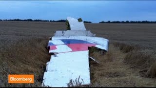 Malaysia Flight MH17 Wreckage in Ukraine: New Images