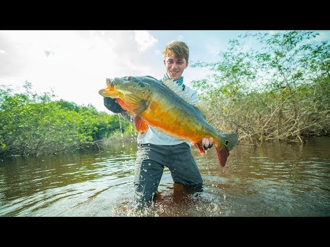 The Fish That Broke The Record -- ( River BEAST) 