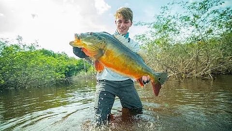 The Fish That Broke The Record -- (Amazon River BEAST)