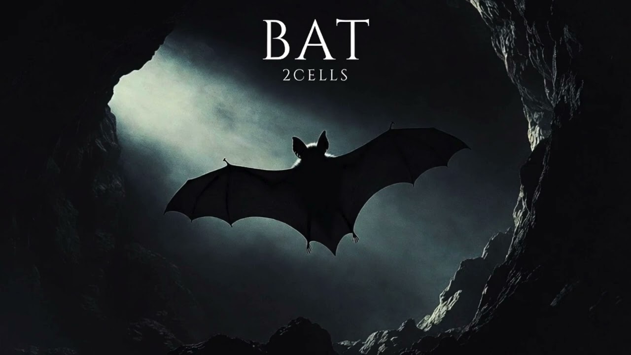 Watch 2Cells - Bat (Official Music Video) on YouTube Watch 2Cells - Bat (Official Music Video) on YouTube