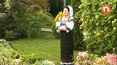 Lidia Bejenaru Botgros Cantece Despre Mama Publicate Pentru Prima DatÄƒ Youtube