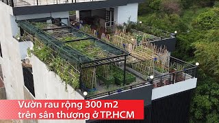 Biến sân thượng 300 m2 thành vườn rau xanh mát