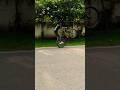 cycle stunt #shortvideo #cycle #stunt