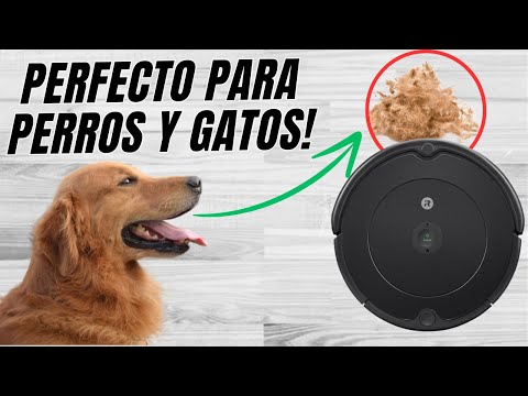 Rumba Mejor Aspiradora Robótica Sin Cable Bolsa Autolimpieza Calificada  Mascotas