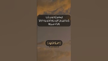 سورة الأنبياء الآية ٧١ الى ٧٣ بصوت الشيخ محمد صديق المنشاوي