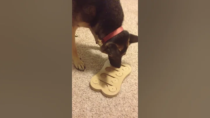 mac dog food puzzle
