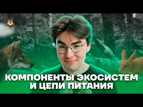 Компоненты экосистем и цепи питания | Биология ОГЭ 2023 | Умскул