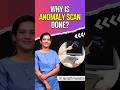 Why is Anomaly scan done? #shorts #anomalyscan #pregnancy #ultrasound