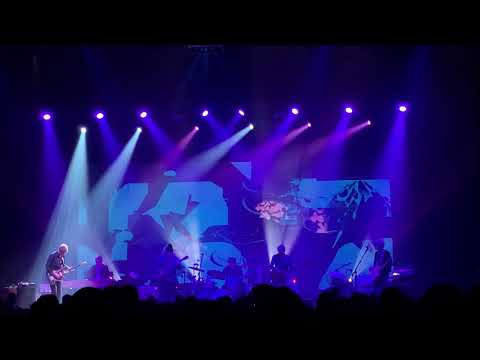 Wilco : Impossible Germany