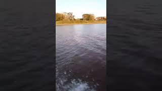 Hermoso bote ideal para la pesca San José mini Traker y Mercury 15 hpSuscribiteParaMasVideos