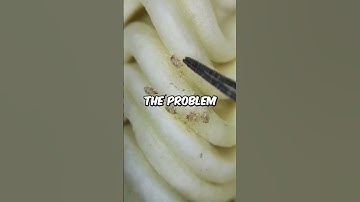 Instant Ramen Under Microscope #dangerous #crazy #ramen #microscope #disgusting #food #instantramen