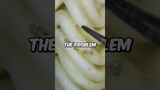 Instant Ramen Under Microscope