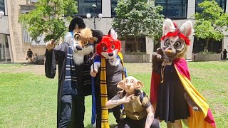Witchcraft and Wizadry Detectives!!! The Animaguseseses