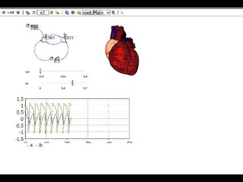 Heart Oscillations Simulation - Healthcare
