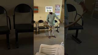 Snake In The Govt Office In