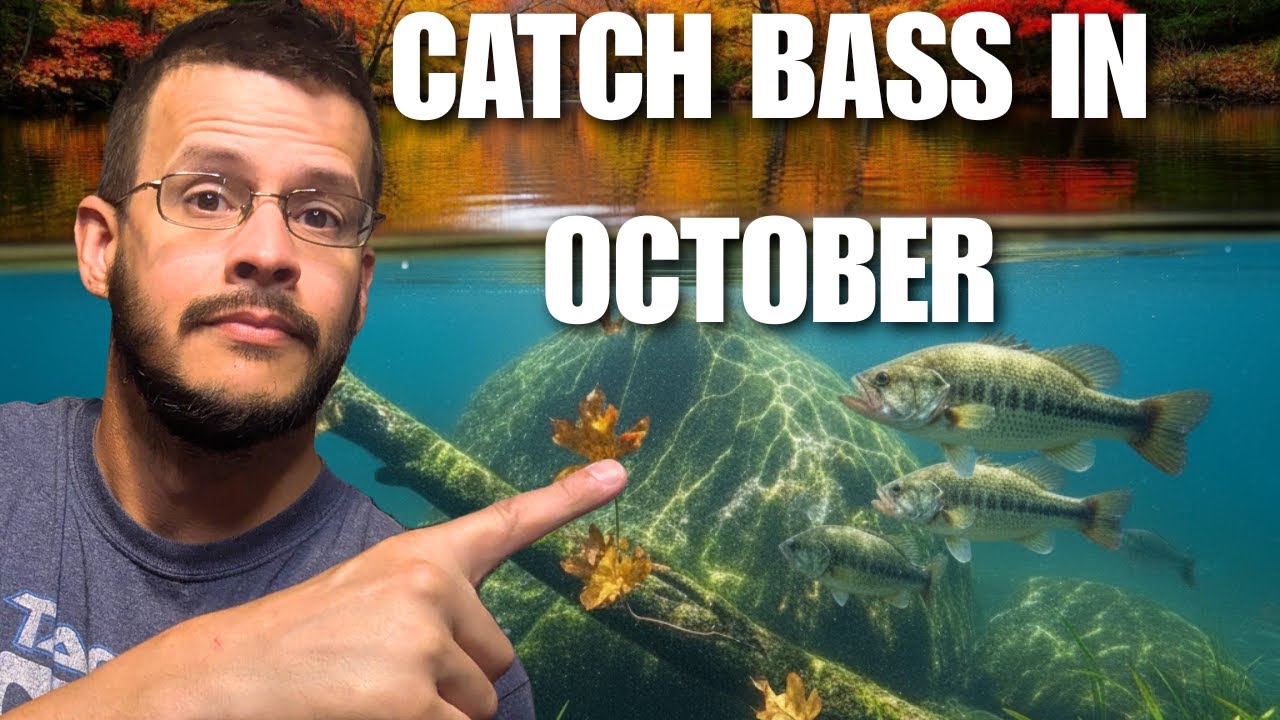 Where Bass Go In October (And How To Catch Them)