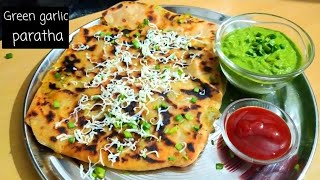 Green garlic paratha, Green garlic recipe, Garlic aloo paratha, Garlic paratha, How to make paratha