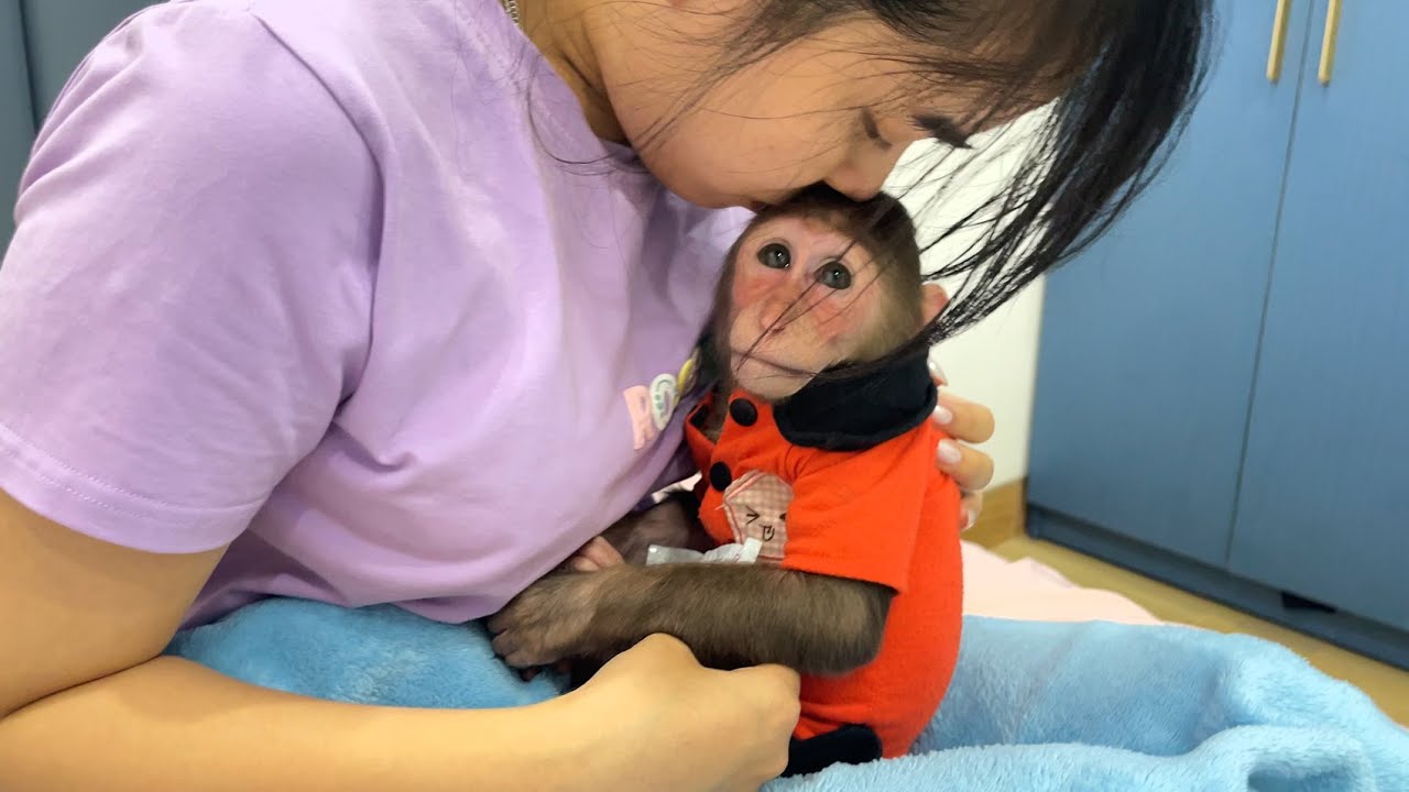 So emotional! Cubis encouraged and comforted her aunt, she was very touched ❤️