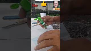 Easy way to improve blurry and blurry eKTP #shorts