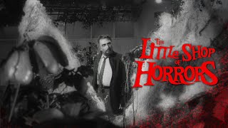 Information The Little Shop Of Horrors (1960) | HD Remastered Full Movie | Jack Nicholson News