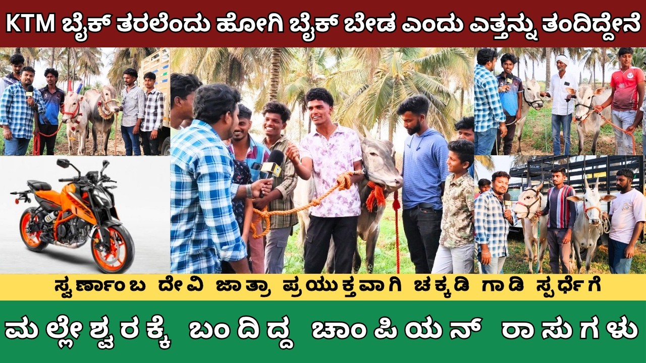 KTM ಬೈಕ್ ತರಲೆಂದು ಹೋಗಿ ಬೈಕ್ ಬೇಡ ಎಂದು ಎತ್ತನ್ನು ತಂದಿದ್ದಾನೆ! ಮಲ್ಲೇಶ್ವರಕ್ಕೆ ಬಂದಿದ್ದ ಚಾಂಪಿಯನ್ ರಾಸುಗಳು